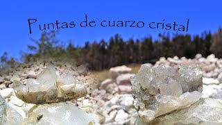 Extracción de PUNTAS DE CUARZO CRISTAL conocidas también como cuarzos maestros [upl. by Botti]