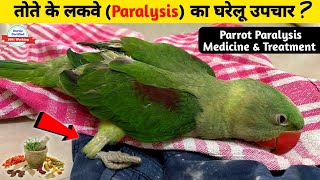 तोते के लकवे का घरेलू उपचार  Parrot Paralysis Treatment at Home  Tote Ke Lakwe Ka ilaaj [upl. by Enihpesoj]