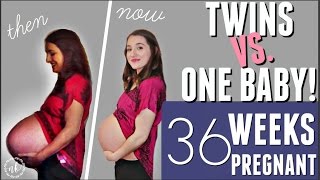 TWINS VS ONE BABY Comparing my Pregnancies  WEEK 36 UPDATE [upl. by Dahij398]