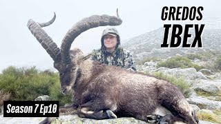 Hunting Gredos Ibex In Spain [upl. by Mora983]