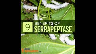 Serrapeptase  serrapeptase benefits  what is serrapeptase  what is serrapeptase good for [upl. by Pinchas]