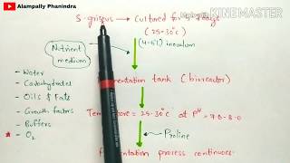 Production of streptomycin by fermentation  Procedure involved  Bio science [upl. by Sabanrab710]