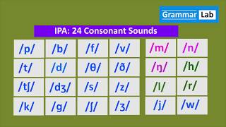 IPA 24 Consonant Sounds [upl. by Eintruoc]