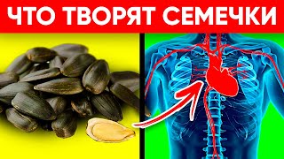 ВОТ ЧТО ТВОРЯТ СЕМЕЧКИ Реальная Польза и Вред Семечек Подсолнуха [upl. by Falconer]