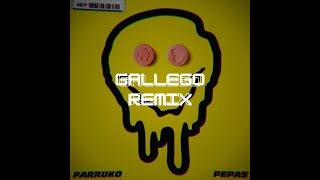 Farruko  Pepas GALLEGO Remix [upl. by Erbe]