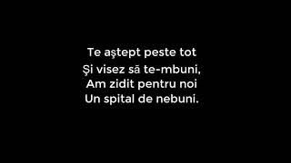 quotEroina Esti Tuquot lyrics Versuri Adrian Păunescu Muzica Mihai Napu [upl. by Ecital27]