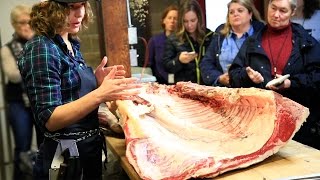 Beef Breakdown Workshop Butchering a Forequarter Cow [upl. by Manchester]