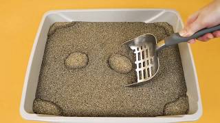 How to Use ARM amp HAMMER™ SLIDE™ Cat Litter [upl. by Jenna]