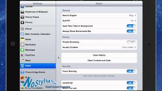 Safari Settings on iPad [upl. by Otsuaf450]