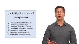 An Approach to Peripheral Edema [upl. by Zeidman]