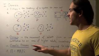 Osmosis and Osmotic Pressure [upl. by Holtorf]