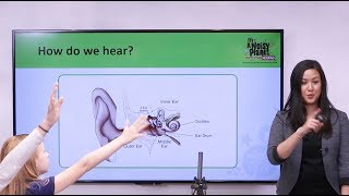 Classifications of Signals in Signals amp Systems An Overview [upl. by Namsaj809]