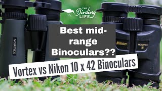 Nikon vs Vortex 10 x 42 Binoculars  The Birding Life [upl. by Ng967]