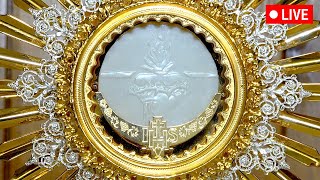 Live Adoration of the Blessed Sacrament  Perpetual Adoration Live [upl. by Dot]