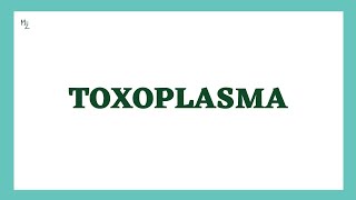 Toxoplasma gondii  Toxoplasmosis  Life Cycle Diagnosis Treatment amp Prevention  MEDZUKHRUF [upl. by Neural714]