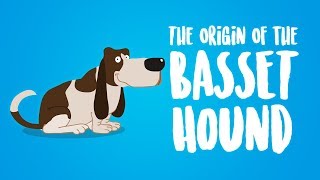 The Origin of the Basset Hound Animation [upl. by Whitford698]