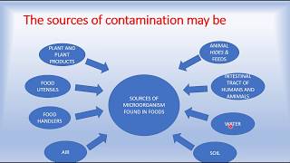 SOURCES OF CONTAMINATION IN FOOD [upl. by Iad]