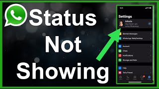 WhatsApp Status Not Showing FIXED [upl. by Hayyim]