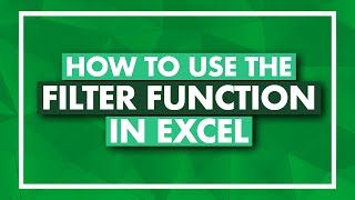 How to Use the FILTER Function in Excel  Excel FILTER Tutorial [upl. by Merrow290]