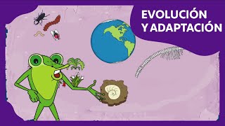 Evolución y adaptación  Planeta Darwin  Ciencias naturales [upl. by Anyrb442]