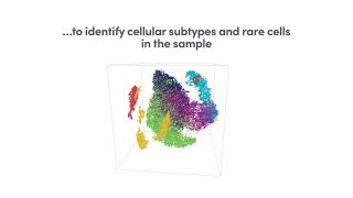 How it Works  Chromium Single Cell Gene Expression Solution [upl. by Malory]