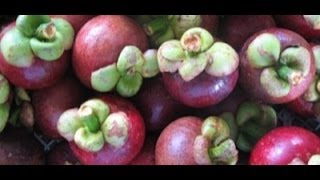 How to eat and open Mangosteen [upl. by Ottilie]