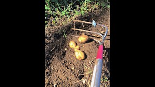 A Great Tool for Digging Potatoes [upl. by Ahsropal]