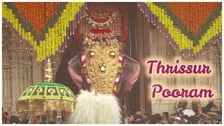 Thrissur Pooram 2019  A Divine Extravaganza of Paramekkavu and Thiruvambadi [upl. by Nyre]