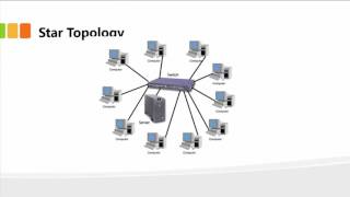 Understanding Network Topologies [upl. by Bernadina]