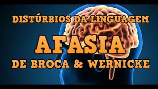 Distúrbios da Linguagem  Afasia de Broca amp Wernicke [upl. by Hansen]