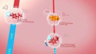 MOAs of Acetaminophen amp NSAIDs  TYLENOL® Professional [upl. by Dominique]