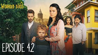 Wounded Birds  Episode 42  Multi Lang Subtitles Turkish Drama  Yaralı Kuşlar 2019 [upl. by Akenot762]