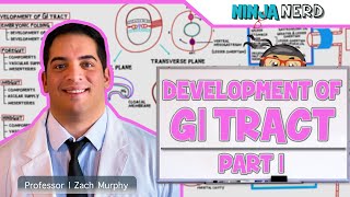 Gastrointestinal  Development amp Embryology of the GI Tract Part 1 [upl. by Sair]