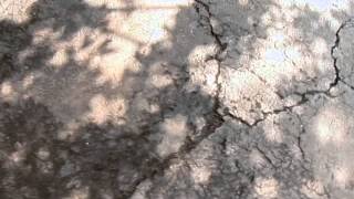 How to Resurface a Driveway [upl. by Younger]