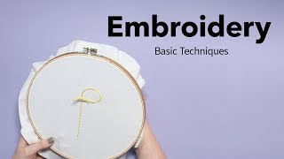 Back Stitch Variations and Techniques [upl. by Ahsaercal]