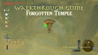 Breath of the Wild  Forgotten Temple  Rona Kachta Shrine Guide [upl. by Nylra]