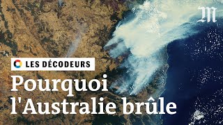 Incendies en Australie  le réchauffement climatique estil en cause [upl. by Ennaear]