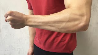 2 Home Exercises For Forearms [upl. by Obe755]