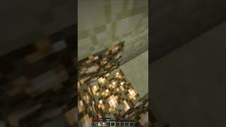 SECRET Avocados From Mexico Minecraft MEME shorts [upl. by Aletsirc509]