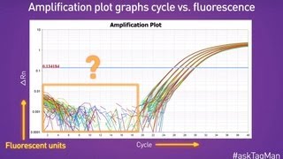 Baselines in RealTime PCR  Ask TaqMan® Ep 5 [upl. by Ahsini]