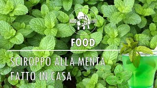 SCIROPPO ALLA MENTA FATTO IN CASA [upl. by Ycniuqal]