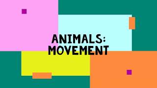 Animals Movements [upl. by Rramal]