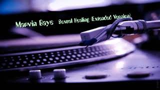 Marvin Gaye  Sexual Healing Extended Version [upl. by Warfold]