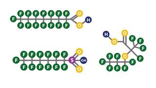What are PFAS [upl. by Arraeis]