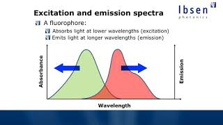 Fluorescence Spectroscopy Tutorial  Basics of Fluorescence [upl. by Ephrem192]