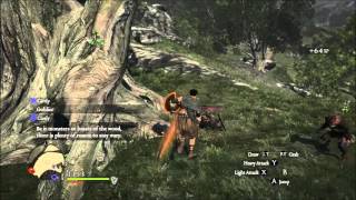 Dragons Dogma Dark Arisen  PC Gameplay 1080p 60FPS  Max Settings [upl. by Ungley]