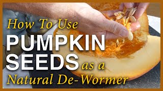 Pumpkin Season  Using The Seeds As A Dewormer [upl. by Voe]