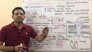 Succinylcholine or Suxamethonium Concept of depolarizing muscle relaxant [upl. by Dub]