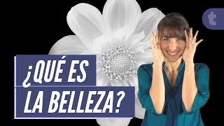 La estética y belleza para la filosofía [upl. by Damita]