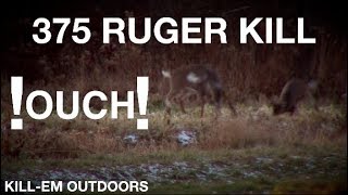 375 Ruger Kill Shot [upl. by Jill]